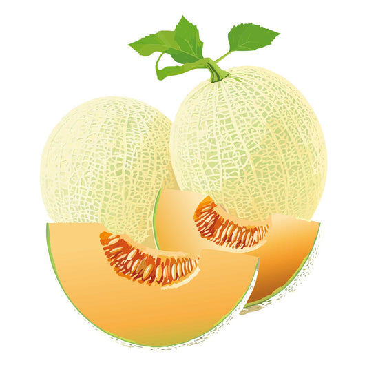 Two whole Honey Rock Cantaloupe/Muskmelon and one sliced cantaloupe on a white background