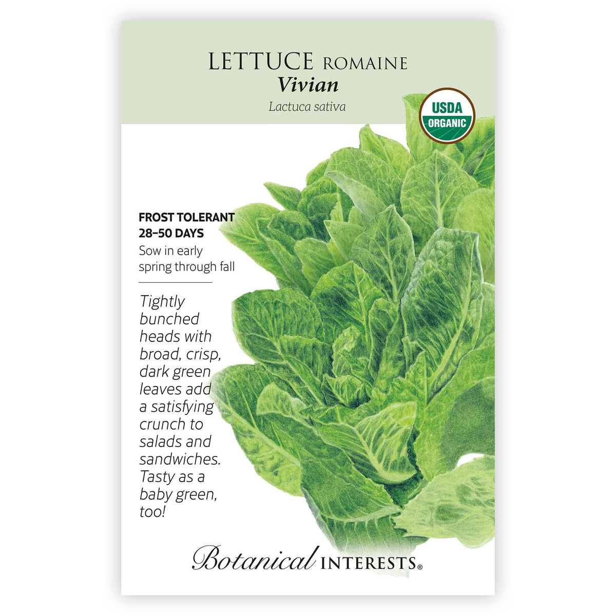 Seed packet for Botanical Interests USDA Organic Vivian Romaine Lettuce, illustrated with a tightly bunched head of broad, dark green crinkled leaves, plus printed text noting frost tolerance, a 28–50 day maturity, and spring-through-fall sowing.