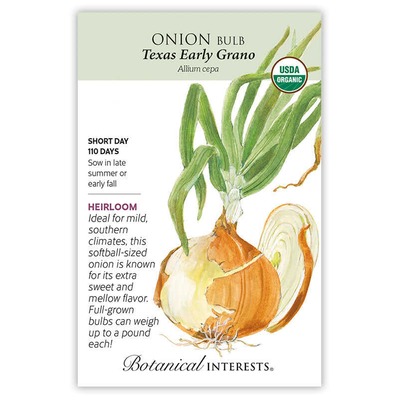 Seed packet for Onion Bulb Texas Early Grano with botanical illustration and  growing information.