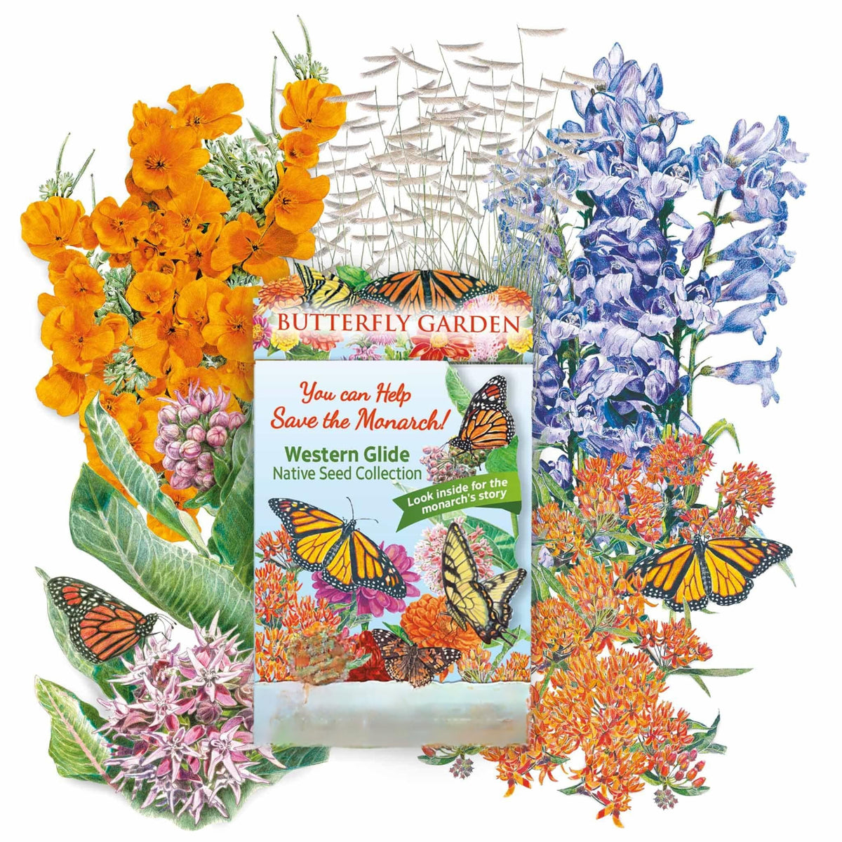 Western Glide Native Seed Collection packet for a "Butterfly Garden," surrounded by illustrated orange butterfly weed, pink milkweed, purple penstemon, ornamental grass and monarch butterflies, with packet text promoting help for monarchs and native seeds.