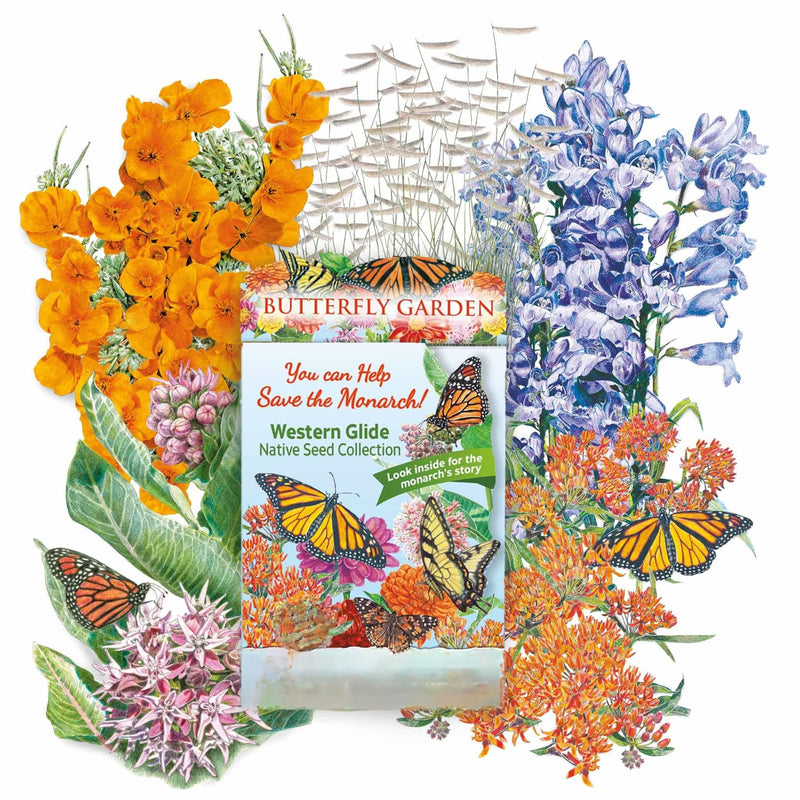 Western Glide Native Seed Collection packet for a 