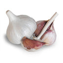 Two whole heads of German White hardneck garlic on a white background, one intact with smooth papery skin, the other split open revealing purple-streaked cloves around a central woody stem.