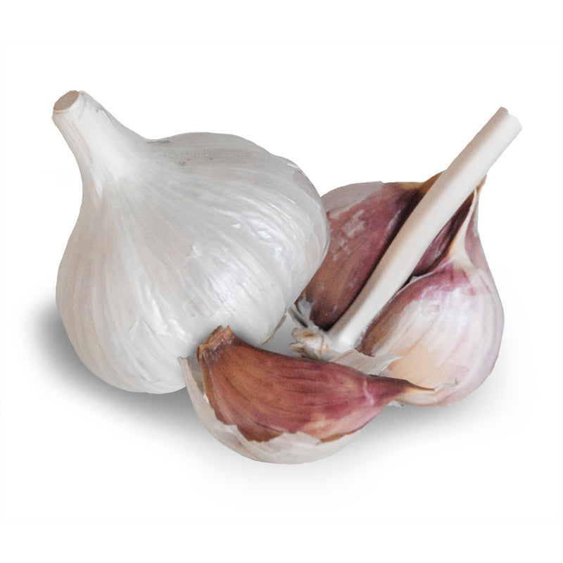 Two whole heads of German White hardneck garlic on a white background, one intact with smooth papery skin, the other split open revealing purple-streaked cloves around a central woody stem.
