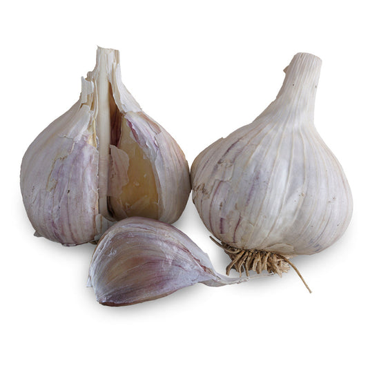 Two whole Music hardneck garlic bulbs with papery white and purple-streaked skins, one split open to reveal plump cloves, plus a single loose clove with dried roots attached, on a white background.