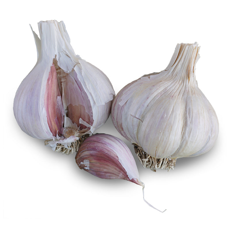 Two whole garlic bulbs with papery white and pale purple streaked skins, one split open to reveal plump pink-tinged cloves, beside a single loose clove.