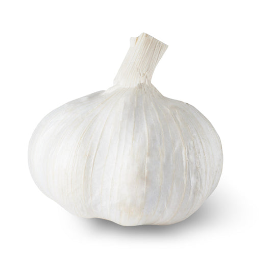 Whole garlic bulb with papery white skin and a dried, trimmed neck, shown against a plain white background.
