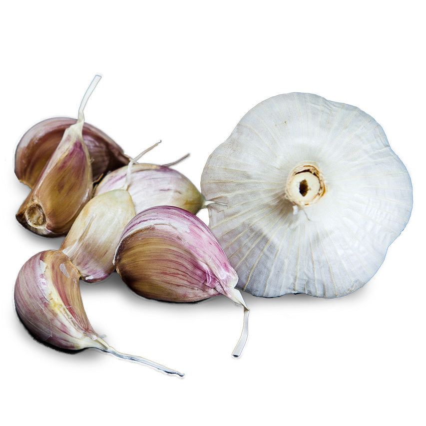 Whole garlic bulb shown base-up beside four separate cloves with papery pink-streaked skins and root tips attached, on a plain white background.