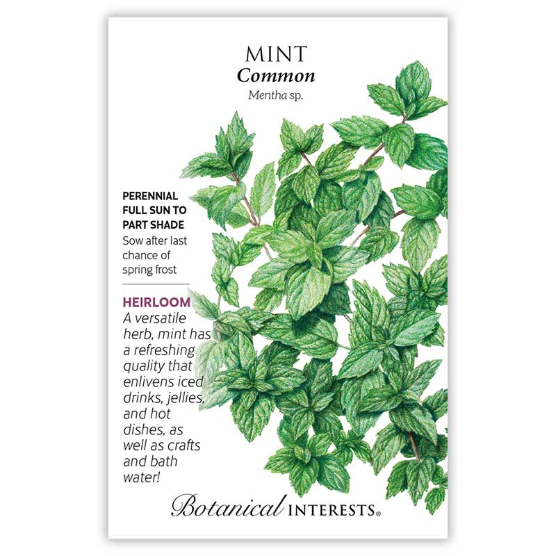 Botanical Interests Common Mint seed packet featuring a detailed illustration of textured, veined green mint leaves on branching stems, with text noting it's a perennial heirloom for full sun to part shade, sown after spring frost.