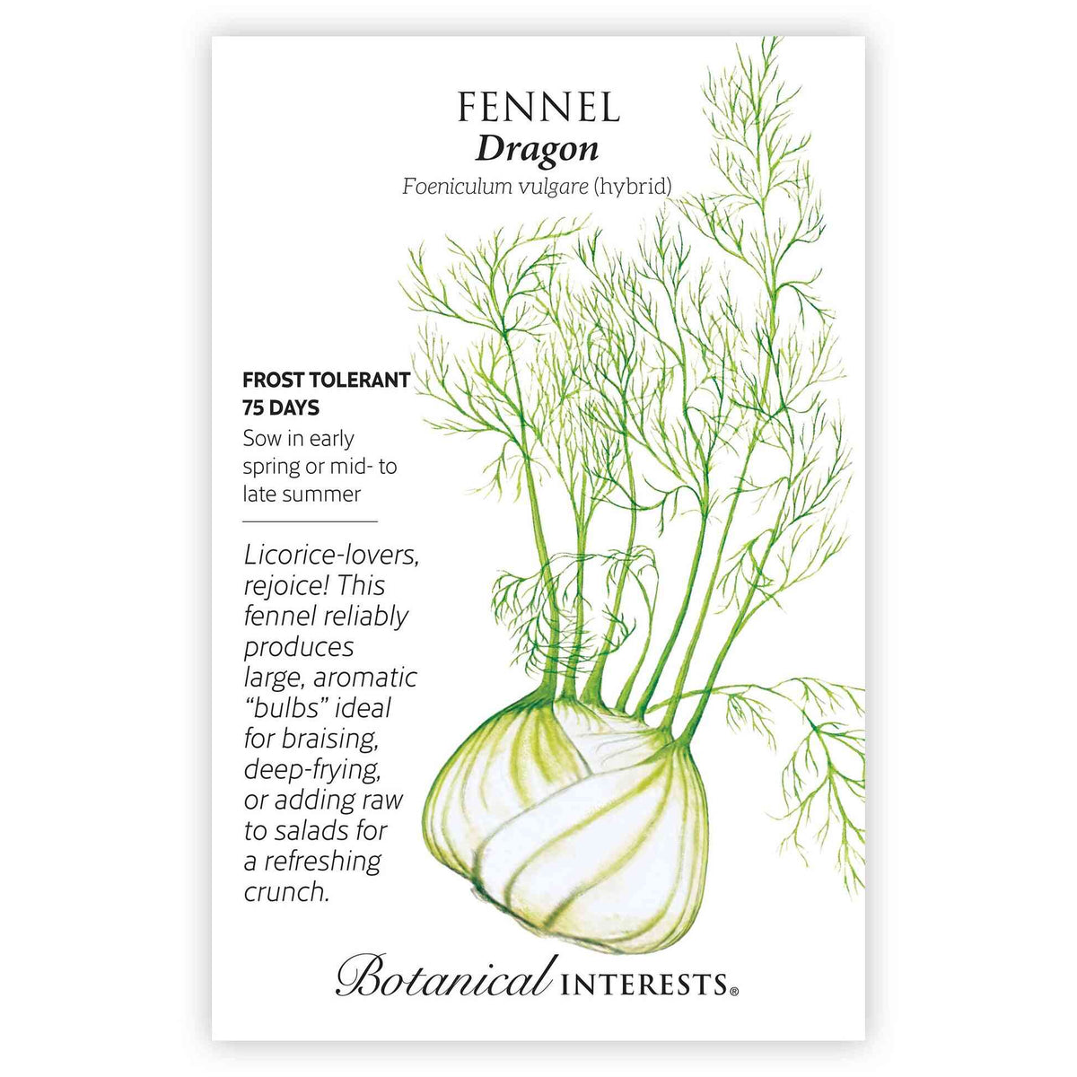 Seed packet for Dragon fennel featuring a detailed illustration of a large, layered white bulb with feathery green fronds rising above it, alongside text noting frost tolerance, a 75-day maturity, and a description praising its use in braising, frying, or raw salads.