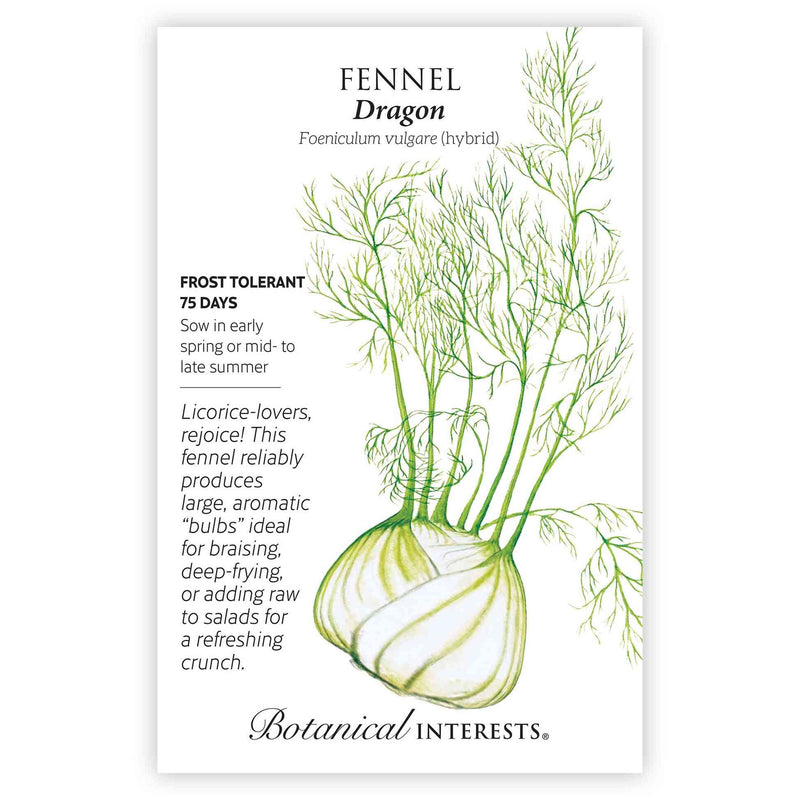 Seed packet for Dragon fennel featuring a detailed illustration of a large, layered white bulb with feathery green fronds rising above it, alongside text noting frost tolerance, a 75-day maturity, and a description praising its use in braising, frying, or raw salads.