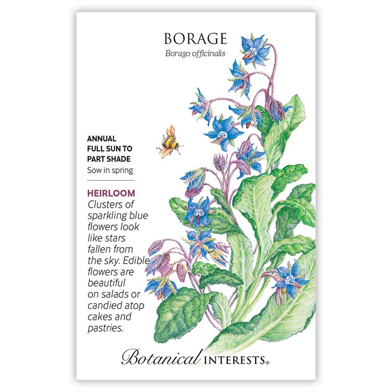 Front of an organic Botanical Interests seed packet for Borage Seeds displaying a USDA Organic seal, heirloom description, and a botanical illustration of star-shaped blue borage flowers with a honeybee landing on a bloom.