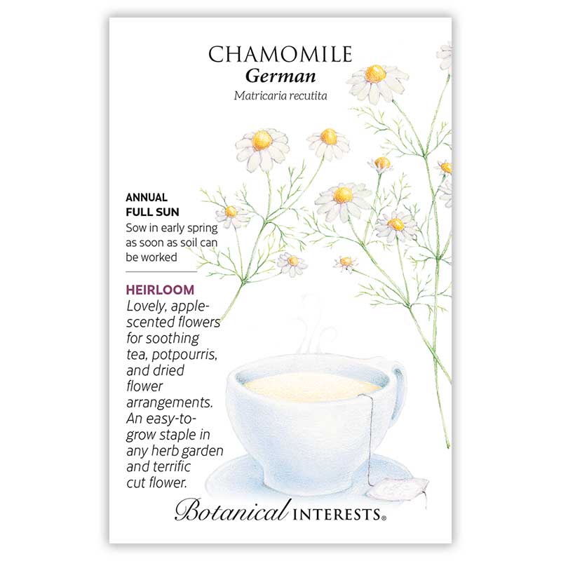 Front of an organic Botanical Interests seed packet for German Chamomile Seeds displaying botanical information and illustration of chamomile blossoms blooming around a teacup