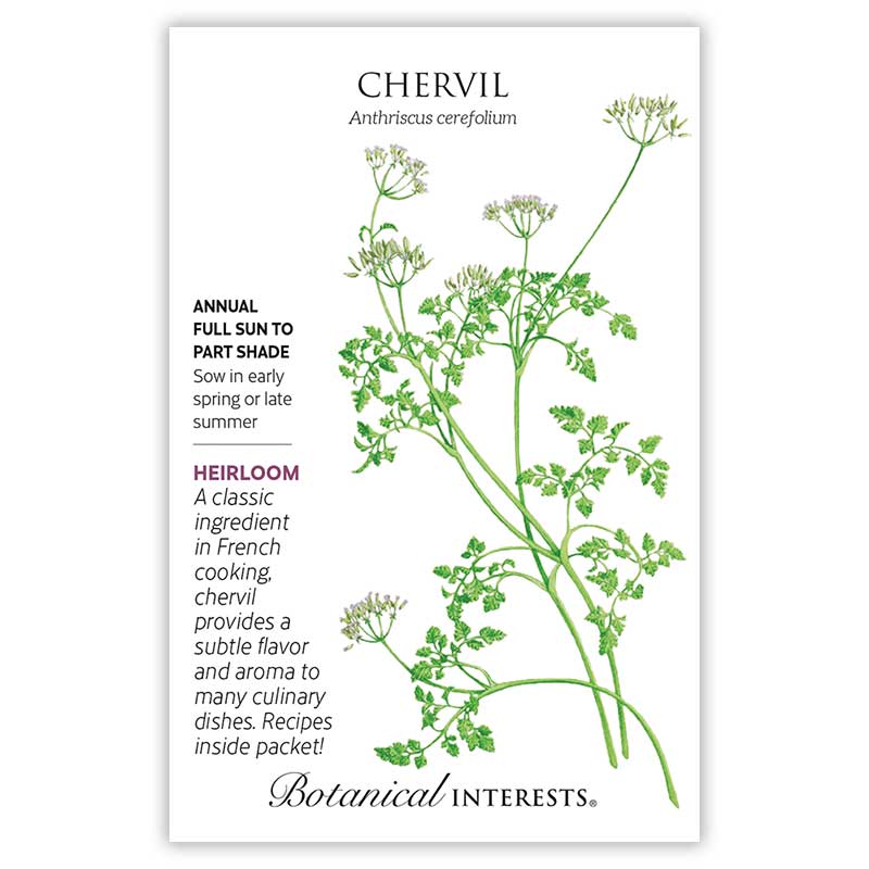 Botanical Interests seed packet for Chervil, illustrated with a detailed drawing of the feathery, fern-like foliage and small white flower clusters on slender stems, with text noting it's an heirloom annual for full sun to part shade, sown in early spring or late summer, prized in French cooking for subtle flavor.