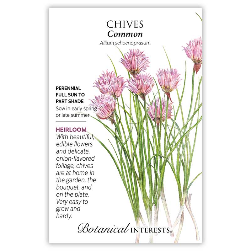 Seed packet of Common Chives with chives illustration and botanical information about the plant on a white background