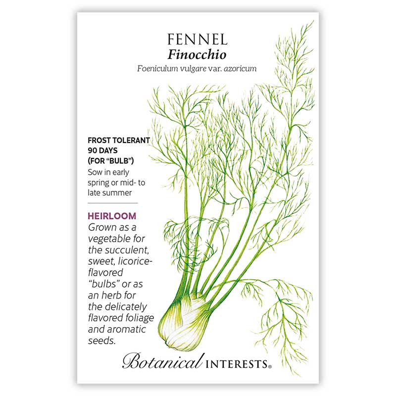 Fennel plant illustration with growing information on a white background.