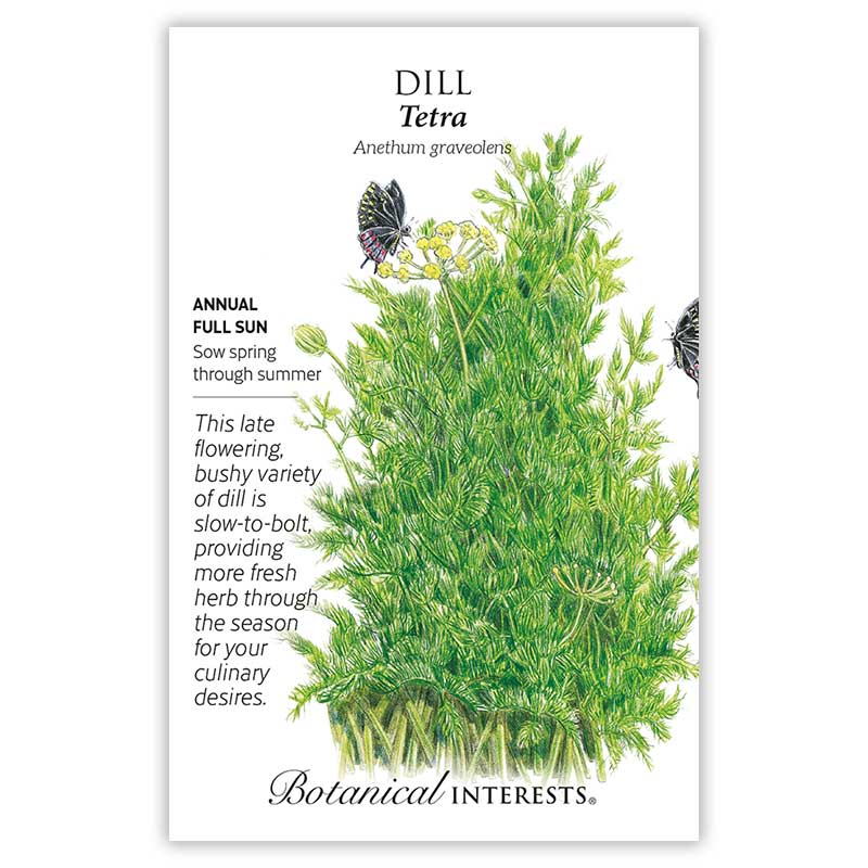 Seed packet for Tetra Dill illustrating a bushy, feathery green plant with yellow flower umbels visited by black-and-white swallowtail butterflies, alongside text noting it's an annual, full-sun, slow-to-bolt variety sown spring through summer.