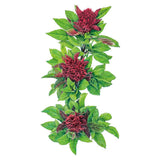 Botanical illustration of Cardinal basil showing three dense, dark reddish-maroon flower clusters spaced along a stem with bright green, pointed leaves, set against a plain white background.