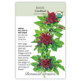 Botanical Interests organic Cardinal Basil seed packet illustrating three stems with large, densely packed dark-red flower spikes amid lush green leaves, with text noting it's an annual for full sun to part shade, sown after last frost, prized as a cut flower.