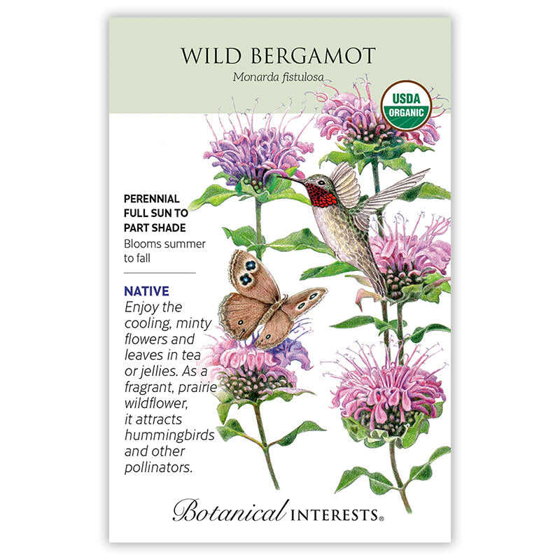 Front of an organic Botanical Interests seed packet for Wild Bergamot Seeds featuring a USDA Organic seal and botanical illustrations of pinkish-lavender flowers with a hummingbird and butterfly.