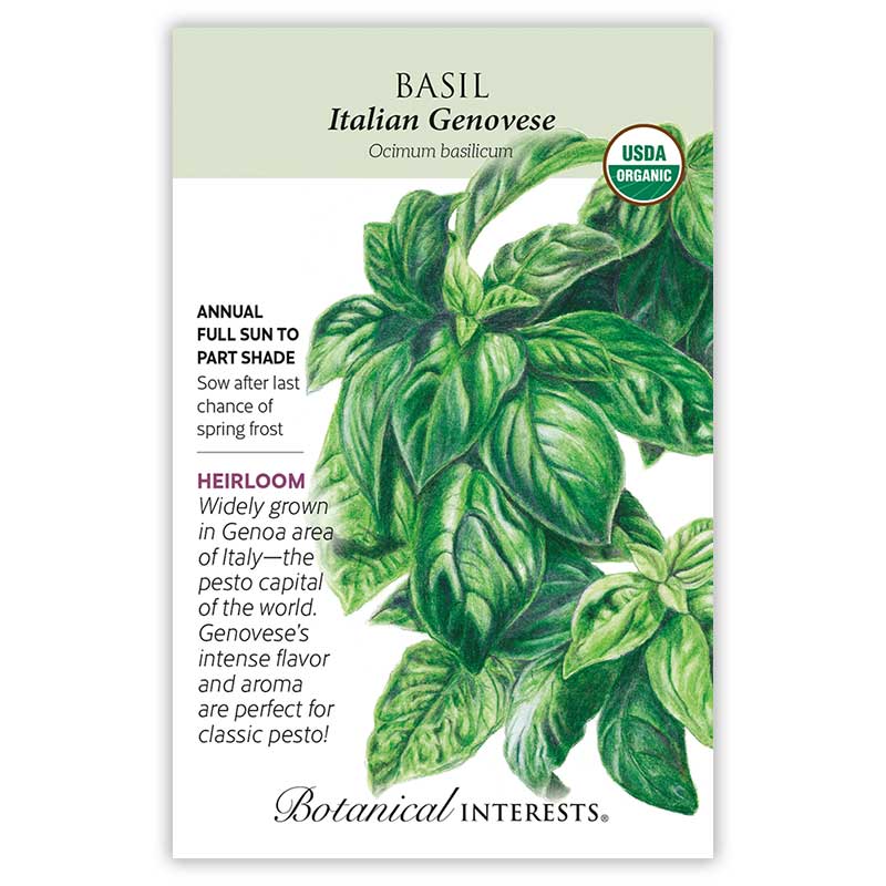 Basil Italian Genovese seed packet with green leaves and botanical information