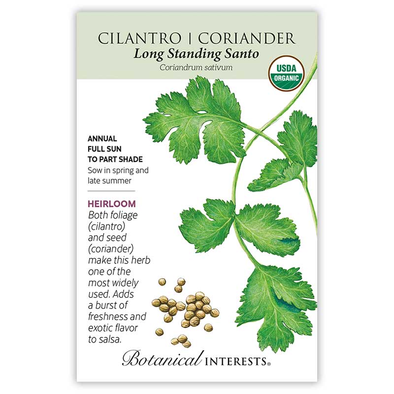 Front of an organic Botanical Interests seed packet for Long Standing Santo Cilantro/Coriander Seeds featuring a USDA Organic seal, heirloom description, and a botanical illustration of green cilantro leaves and tan coriander seeds.