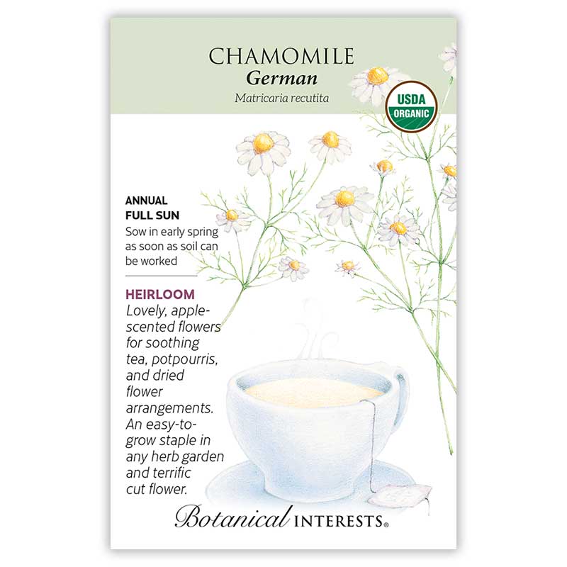 Front of an organic Botanical Interests seed packet for German Chamomile Seeds displaying a USDA Organic seal and botanical information and illustration of chamomile blossoms blooming around a teacup
