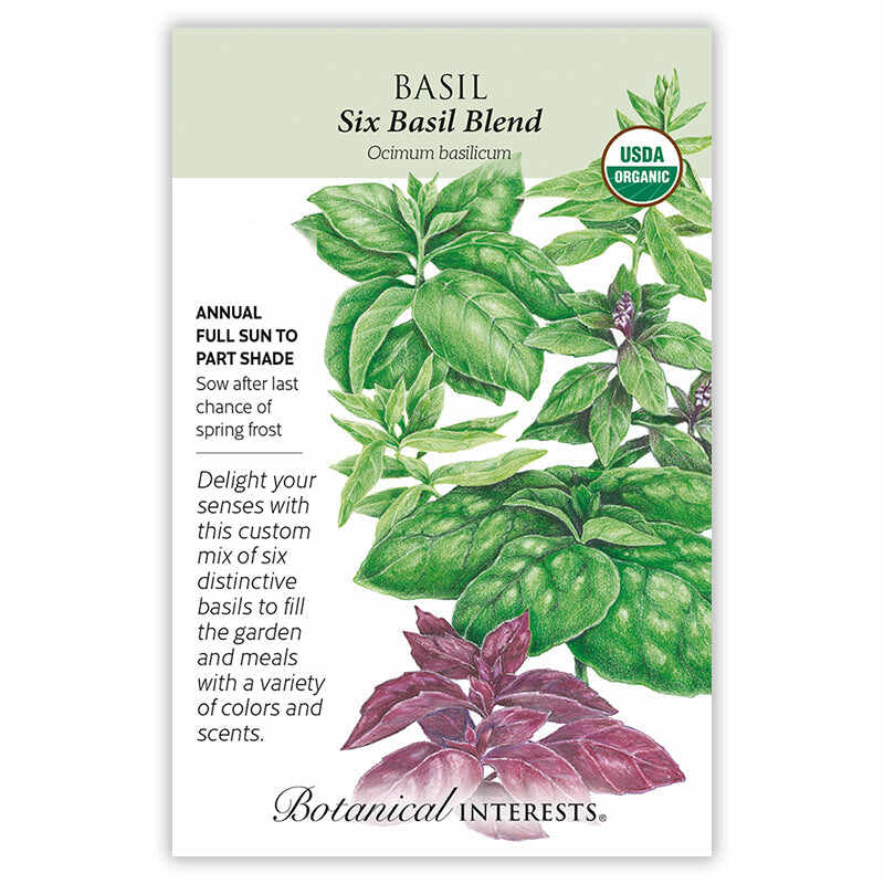 Front of an organic Botanical Interests seed packet for Six Basil Blend Basil Seeds featuring a USDA Organic seal and botanical illustrations of various green and deep purple basil leaves.