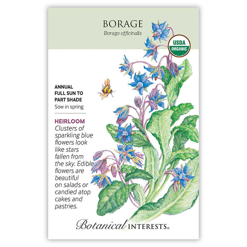 Front of an organic Botanical Interests seed packet for Borage Seeds displaying a USDA Organic seal, heirloom description, and a botanical illustration of star-shaped blue borage flowers with a honeybee landing on a bloom.