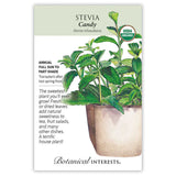 Seed packet for organic Candy Stevia illustrating a potted plant with bushy green serrated leaves and small white tubular flowers, with text noting it's an annual for full sun to part shade, transplant after last spring frost, and useful as a sweetener or house plant.