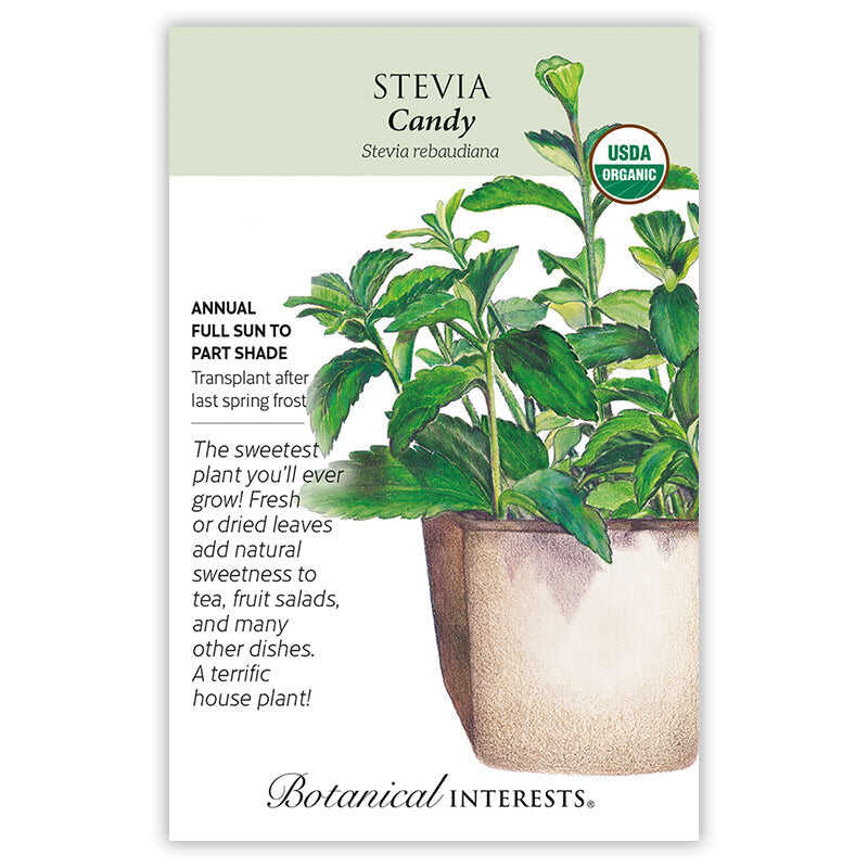 Seed packet for organic Candy Stevia illustrating a potted plant with bushy green serrated leaves and small white tubular flowers, with text noting it's an annual for full sun to part shade, transplant after last spring frost, and useful as a sweetener or house plant.