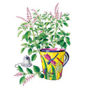 Watercolour illustration of tulsi holy basil, its leafy stems tipped with small pink flower spikes, arranged behind a yellow dragonfly-patterned mug and a metal tea infuser, with a loose cut sprig lying beside them.