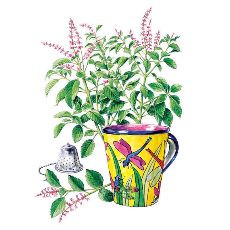 Watercolour illustration of tulsi holy basil, its leafy stems tipped with small pink flower spikes, arranged behind a yellow dragonfly-patterned mug and a metal tea infuser, with a loose cut sprig lying beside them.