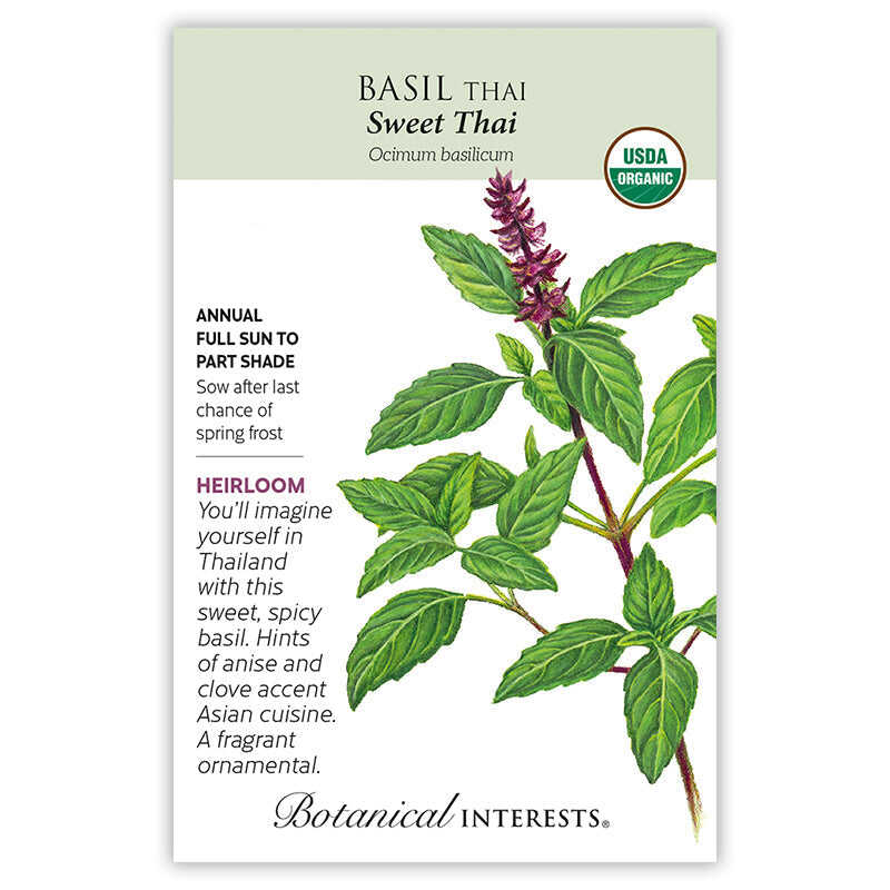 Seed packet for organic heirloom Sweet Thai Basil, illustrated with a botanical drawing of purple-tinged flower spikes and green serrated leaves on reddish stems, alongside text noting it's an annual for full sun to part shade, sown after spring frost.