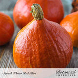 Close-up of a teardrop-shaped Red Kuri winter squash with smooth, glossy deep-orange skin and a dried woody stem, surrounded by more squash on a wooden surface; text below reads 