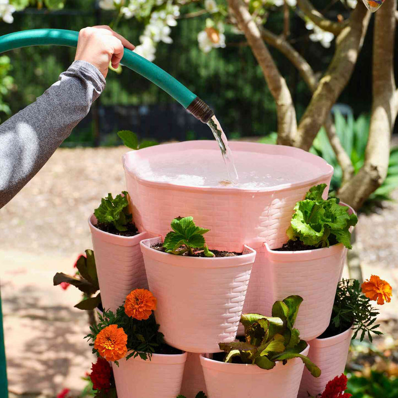 Watering the top reservoir of a pink GreenStalk Vertical Planter Basketweave with a hose.