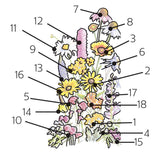 Illustrated key diagram of a wildflower border mix showing daisies, coneflowers, yellow gaillardia, spiky pink and blue florets, and clustered pink blooms, each numbered 1 through 18 with leader lines identifying the individual perennial species included in the seed blend.