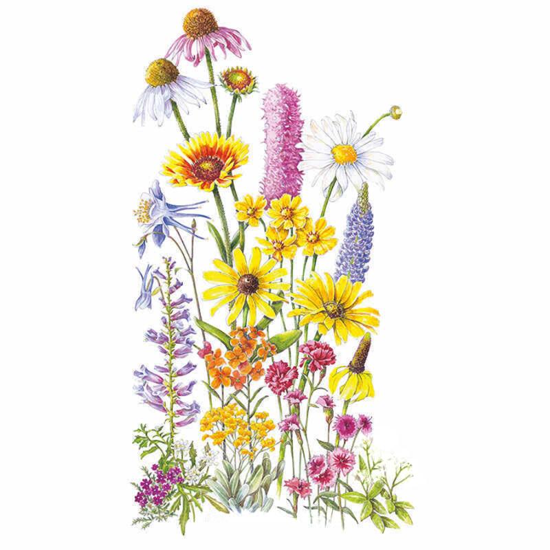 Botanical illustration of a wildflower mix showing an array of blooms in varied heights and colours, including coneflowers, blanket flower, black-eyed Susans, columbine, gayfeather spikes, daisies, and dianthus, arranged in a tall arching cluster on a white background.