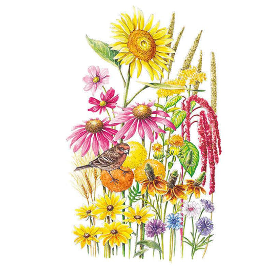 Botanical illustration of a bird-friendly wildflower mix including sunflower, coneflower, cosmos, amaranth, black-eyed Susan, cornflower and millet, with a sparrow perched among the orange and yellow blooms.