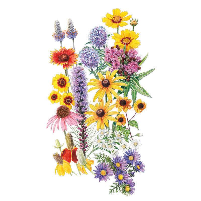 Botanical illustration of the Prairie Splendor Flower Mix showing an assortment of wildflowers including yellow coreopsis, red gaillardia, purple liatris spikes, pink coneflower, black-eyed Susans, white asters, and clusters of purple aster blooms arranged against a white background.