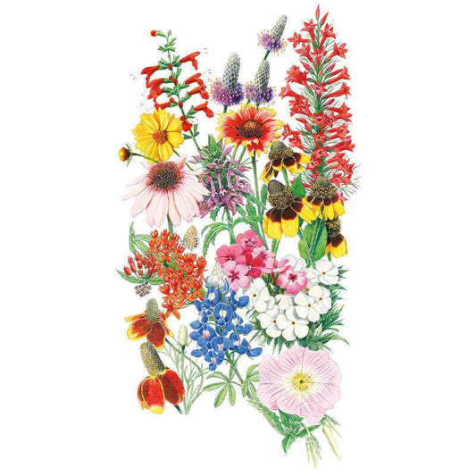 Botanical illustration of a mixed wildflower bouquet featuring pink coneflower, yellow black-eyed Susans, red cardinal flower, blue lupine, white and pink phlox, orange butterfly weed, and a small butterfly, all rendered in detailed watercolor style on a white background.