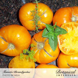 Cluster of ribbed, deep-orange Brandywine tomatoes on a granite surface, one sliced open to show golden flesh and seeds, garnished with sprigs of thyme, basil, and dill flowers.