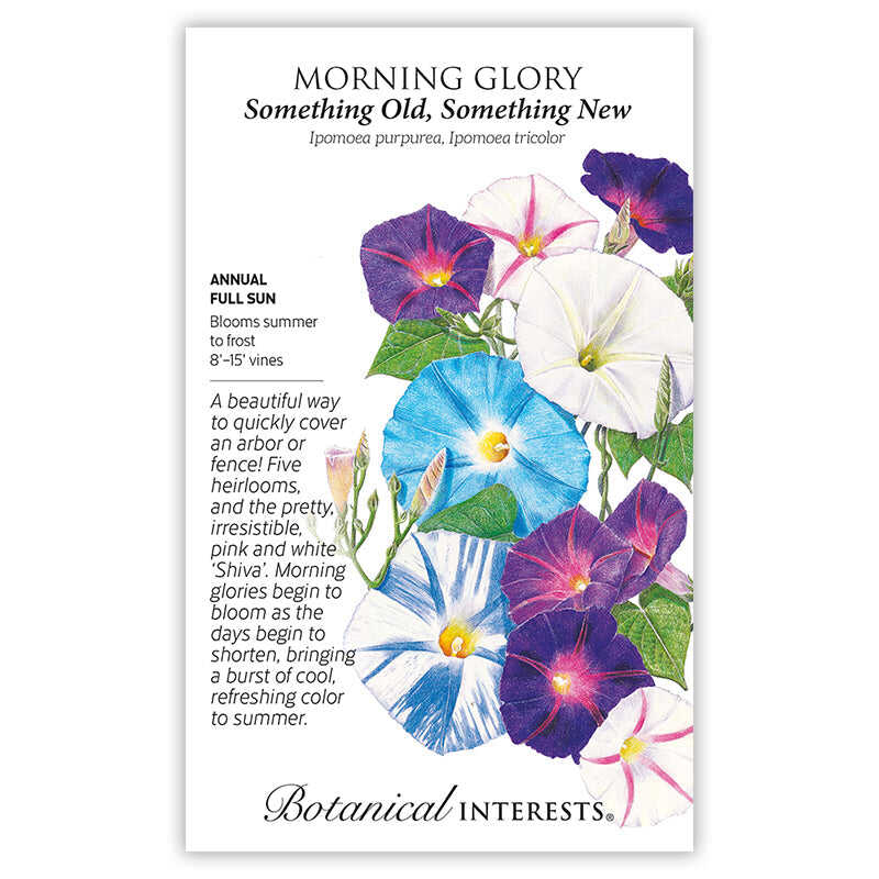 Seed packet for Something Old, Something New Morning Glory featuring an illustration of trumpet-shaped blooms in purple, blue, white, and pink-striped varieties with green foliage, alongside text noting it's an annual, full sun, blooming summer to frost on 8–15 foot vines.