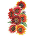 Botanical illustration of Drop Dead Red sunflowers showing seven blooms with dark centres and petals ranging from deep burgundy-red to orange and yellow-tipped variants, accompanied by serrated green leaves against a white background.