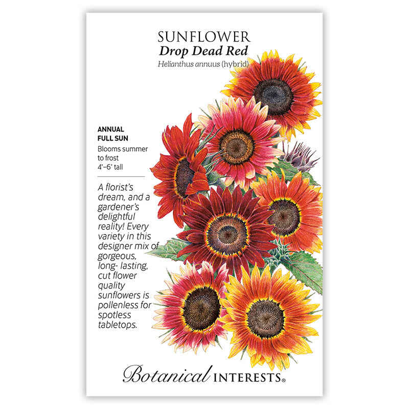 Seed packet for Drop Dead Red Sunflower featuring an illustrated cluster of dark-red, orange, and yellow bicolor blooms with brown centers, alongside text noting it's a full-sun annual growing 4-6 feet tall, blooming summer to frost, with pollenless cut-flower quality.