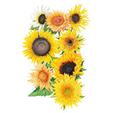 Botanical illustration of eight sunflower varieties in one bouquet, showing varied forms from single golden daisy-like blooms to fluffy double heads, with petal colours ranging from creamy white and peachy-orange to bright yellow.