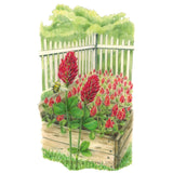 Illustration of crimson clover cover crop growing densely in a raised wooden garden bed, showing tall spiked crimson-red flower heads and clover-shaped green leaves with a bumblebee visiting one bloom, set against a white picket fence and hedge.