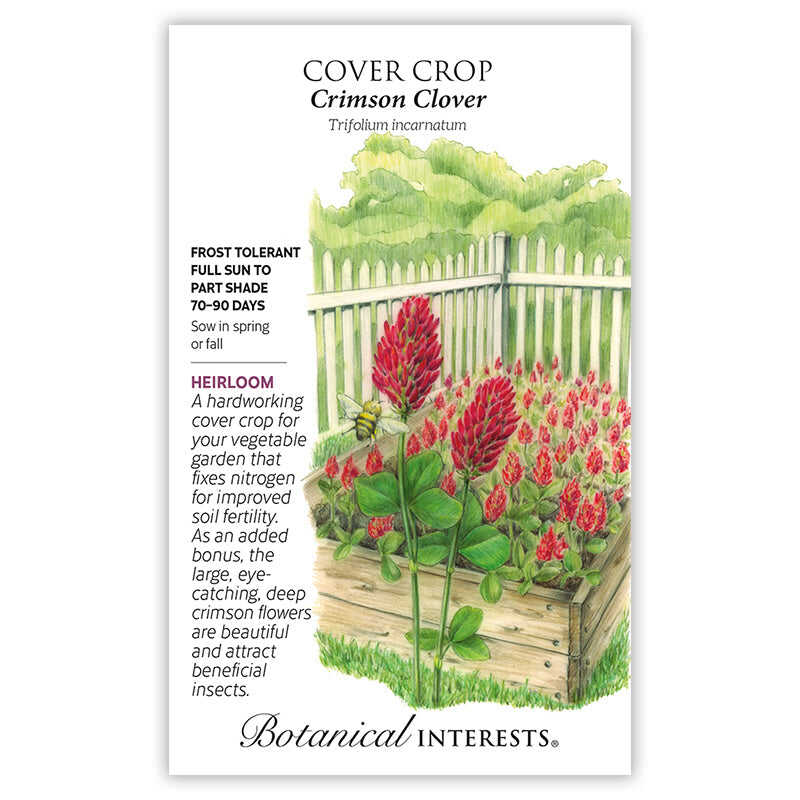 Botanical Interests seed packet for Crimson Clover cover crop, illustrated with tall spikes of deep crimson conical flowers and a bee in a raised wooden garden bed against a white picket fence, with text noting it's frost tolerant, heirloom, sown in spring or fall, and fixes nitrogen while attracting beneficial insects.
