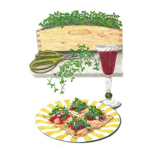 Illustration of Italian Amaro Blend microgreens growing densely in a wooden crop box, with a pair of scissors and cut sprigs beside it, plus a glass of red wine and a striped plate of crackers topped with sauce, olives, and the harvested greens.