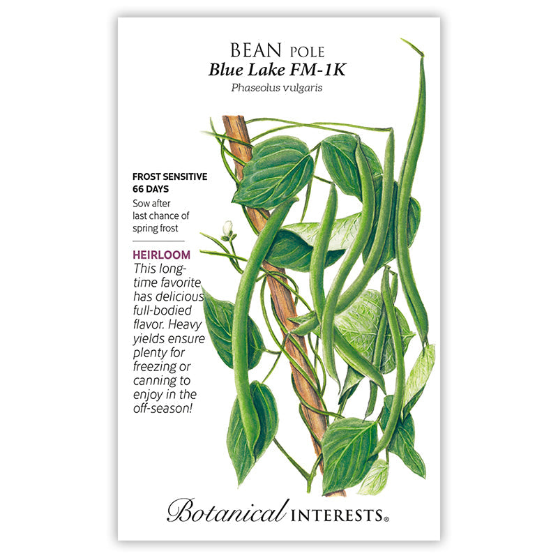 Front of a Botanical Interests seed packet for Blue Lake FM-1K Pole Bean Seeds showing planting instructions, heirloom description, and a botanical illustration of pole bean vines with hanging green pods climbing a wooden pole.