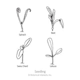 Line drawing labelled 